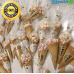 ★ Clear Candy Cone with golden twist ties 